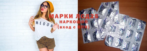 прущие грибы Ельня