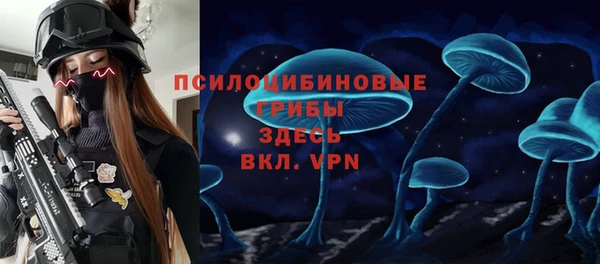 гидра Баксан