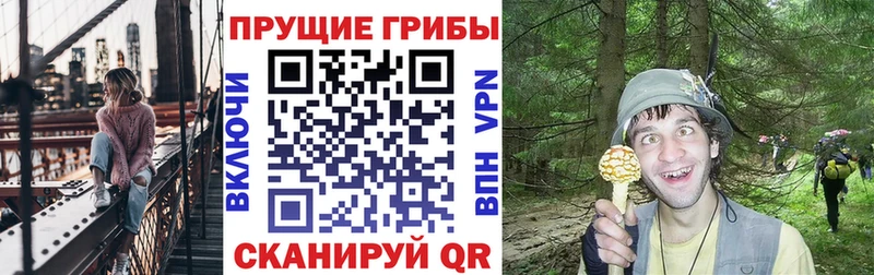 где купить наркоту Полевской Галлюциногенные грибы Magic Shrooms