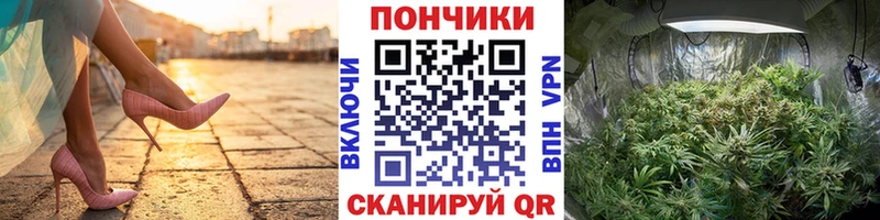 ОМГ ОМГ зеркало  Полевской  Марихуана индика 